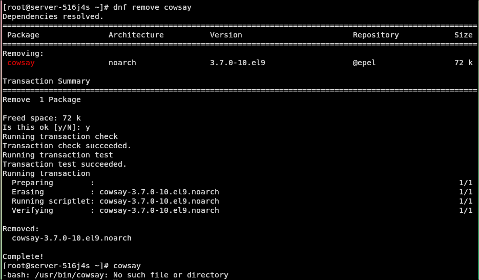 Удаление пакета AlmaLinux